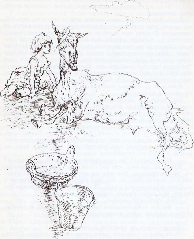 Ребята и зверята (илл.) _21.jpg