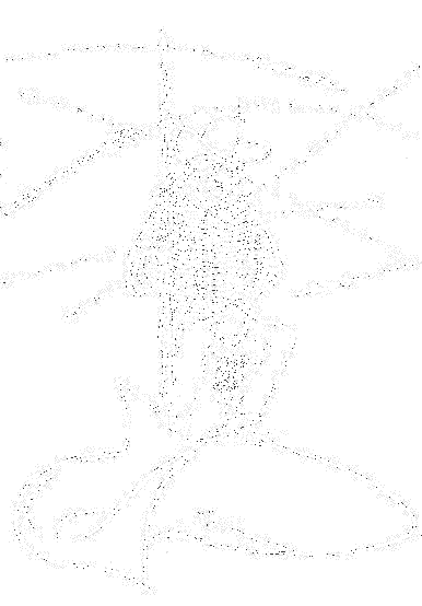Тигр под наркозом image1145.png