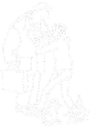 Тигр под наркозом image528.png