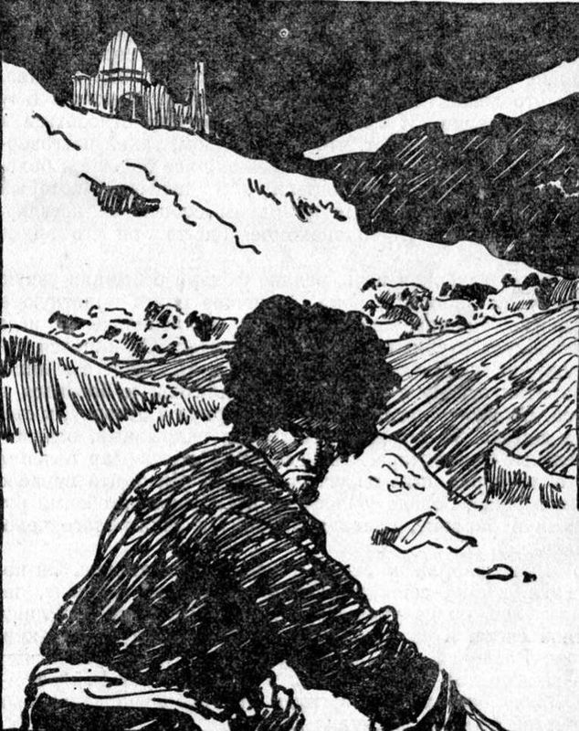 Дело возбуждено... (сборник) i_003.jpg