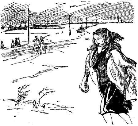 Эхо (сборник) i_002.png