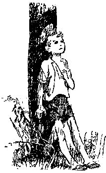 Эхо (сборник) i_019.png