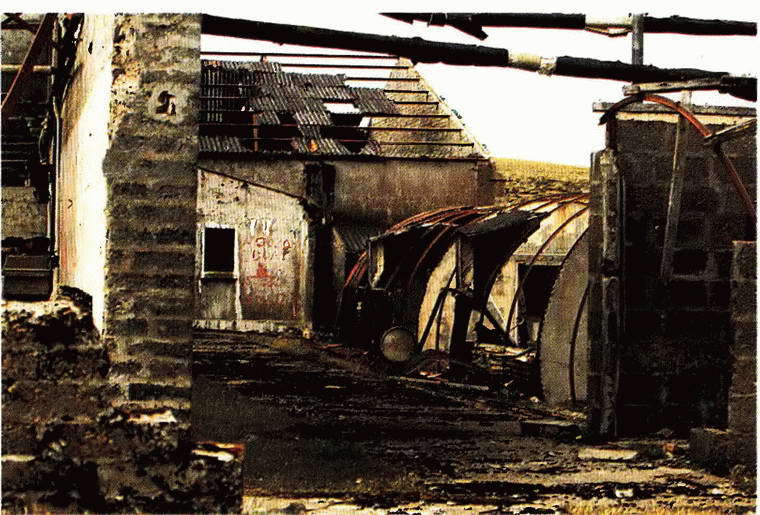 Конфликт в Южной Атлантике: Фолклендская война 1982 г. i_018.jpg
