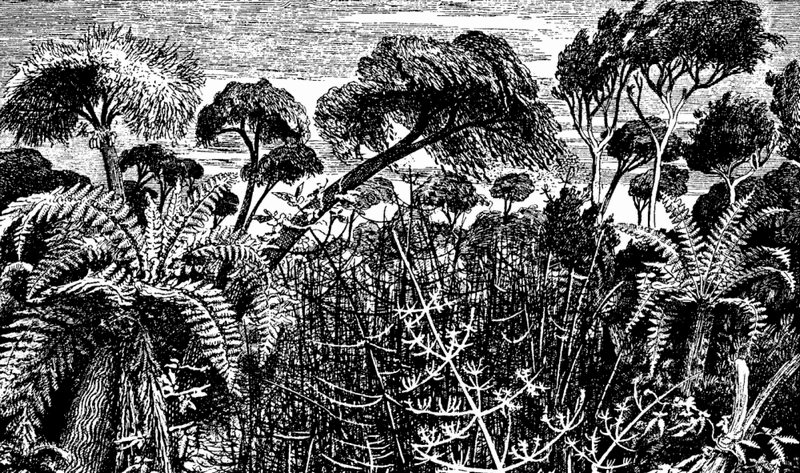 Шея жирафа _9.jpg