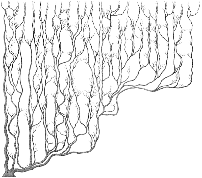 Шея жирафа _25.jpg