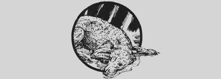 Приключения черной таксы _31.jpg