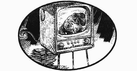 Приключения черной таксы _56.jpg