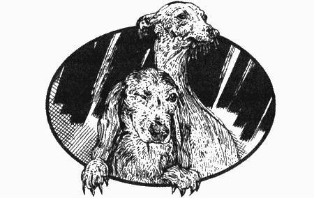 Приключения черной таксы _72.jpg