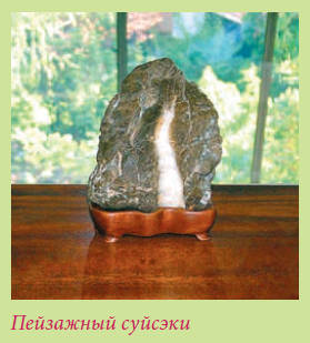 Бонсай _5.jpg