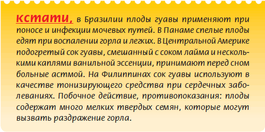 Плодоносящие растения _113.jpg