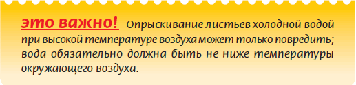 Плодоносящие растения _10.jpg