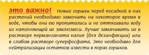 Плодоносящие растения _22.jpg