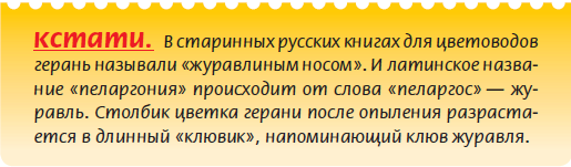 Луковичные растения _1.jpg