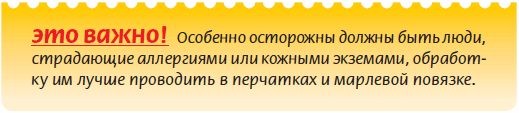 Луковичные растения _54.jpg