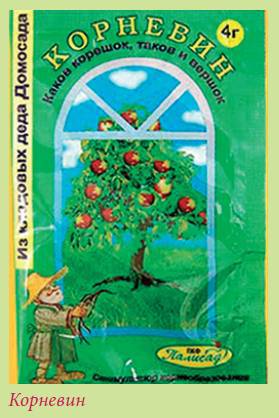 Луковичные растения _56.jpg