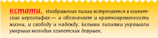 Луковичные растения _13.jpg