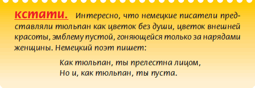 Луковичные растения _18.jpg