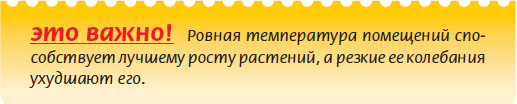 Луковичные растения _30.jpg