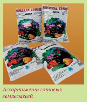 Луковичные растения _40.jpg