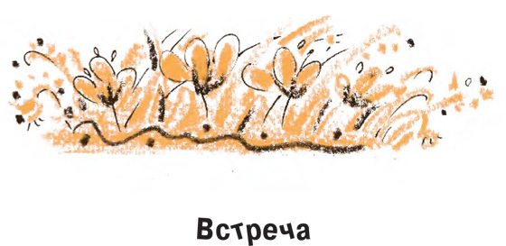 Король-Рысь i_038.jpg