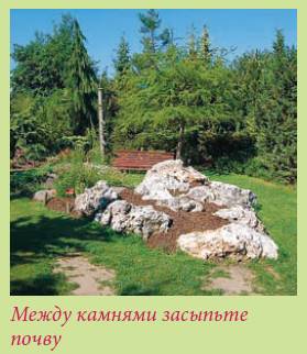 Альпийский сад и рокарий _63.jpg