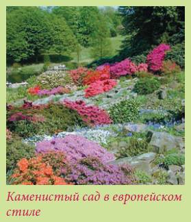 Альпийский сад и рокарий _10.jpg