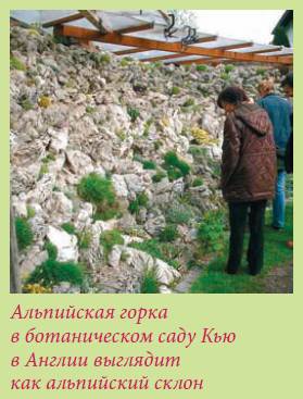 Альпийский сад и рокарий _13.jpg