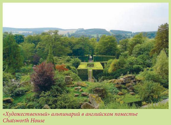 Альпийский сад и рокарий _6.jpg