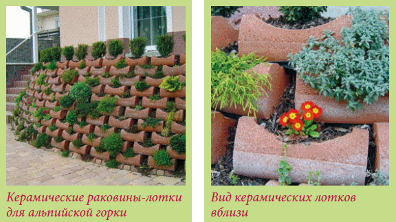 Альпийский сад и рокарий _8.jpg