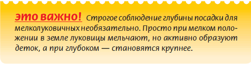 Альпийский сад и рокарий _109.jpg