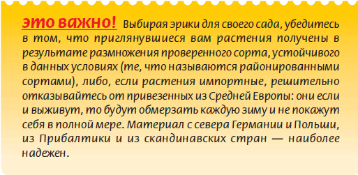 Альпийский сад и рокарий _119.jpg