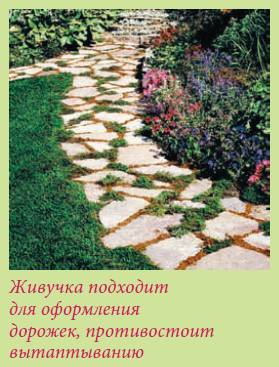 Альпийский сад и рокарий _132.jpg