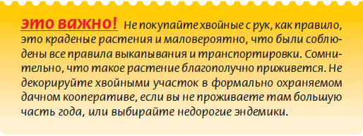 Альпийский сад и рокарий _149.jpg