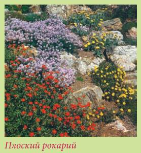 Альпийский сад и рокарий _23.jpg