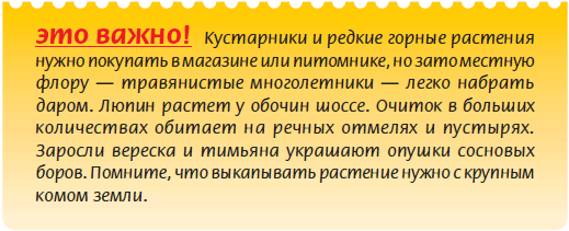 Альпийский сад и рокарий _30.jpg