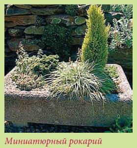 Альпийский сад и рокарий _34.jpg