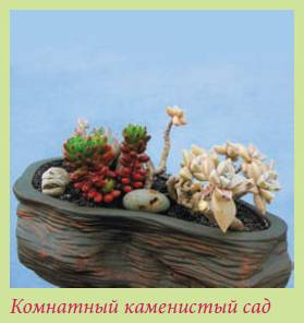Альпийский сад и рокарий _35.jpg