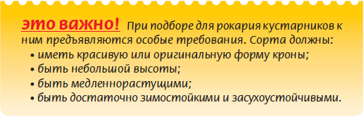 Альпийский сад и рокарий _42.jpg