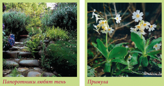 Альпийский сад и рокарий _43.jpg