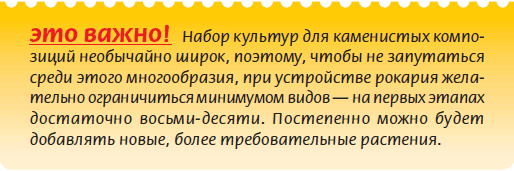 Альпийский сад и рокарий _50.jpg