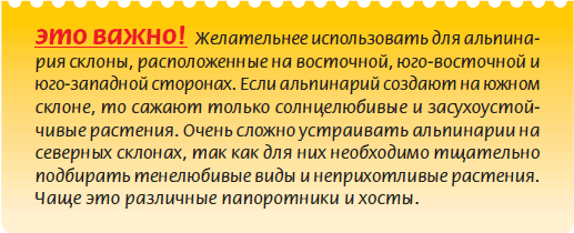 Альпийский сад и рокарий _54.jpg