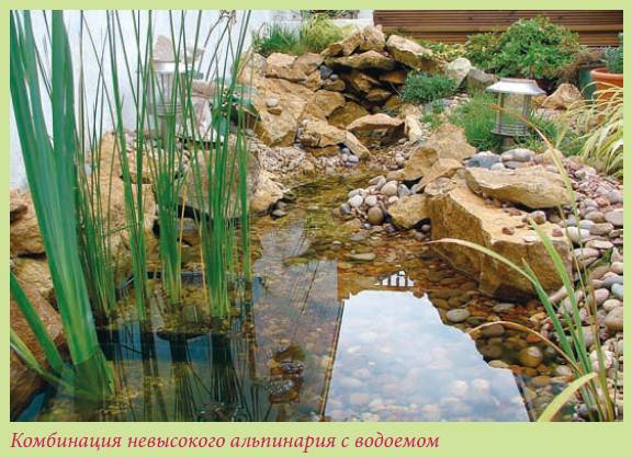 Альпийский сад и рокарий _56.jpg