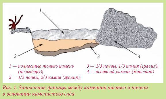 Альпийский сад и рокарий _59.jpg