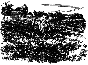 Первая весна i_011.png