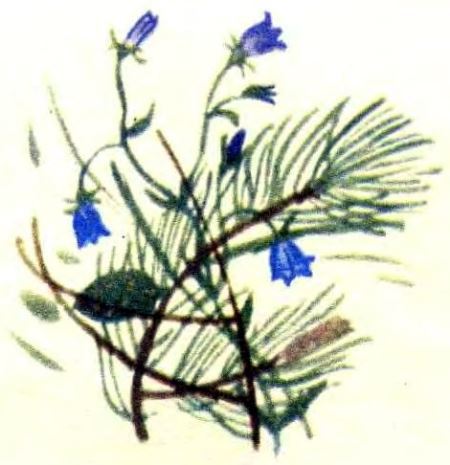 Юра — адъютант генерала i_014.jpg