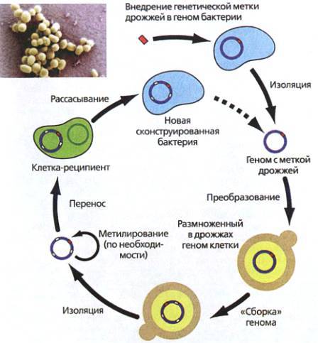 Юный техник, 2010 № 09 _23.jpg