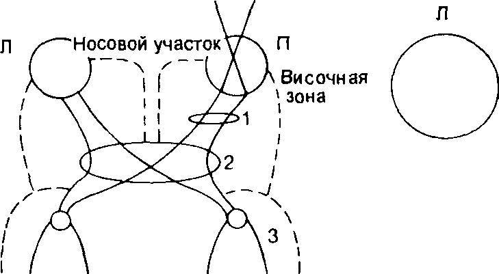 Оксфордский справочник для клиницистов _61.jpg