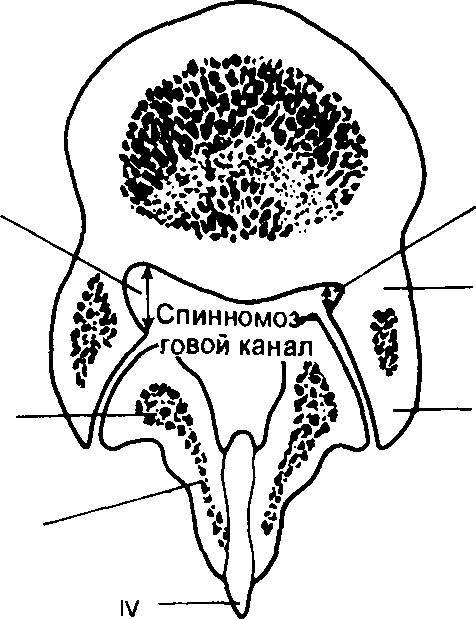 Оксфордский справочник для клиницистов _71.jpg