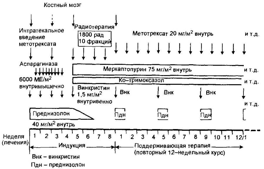 Оксфордский справочник для клиницистов _19.jpg