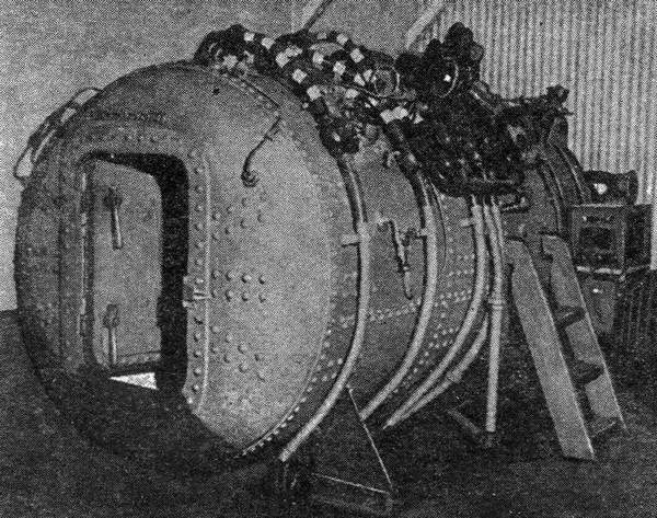 Ластоногие пловцы i_003.jpg